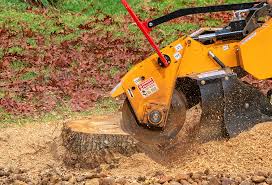 Best Soil Testing and Treatment  in Bellville, TX